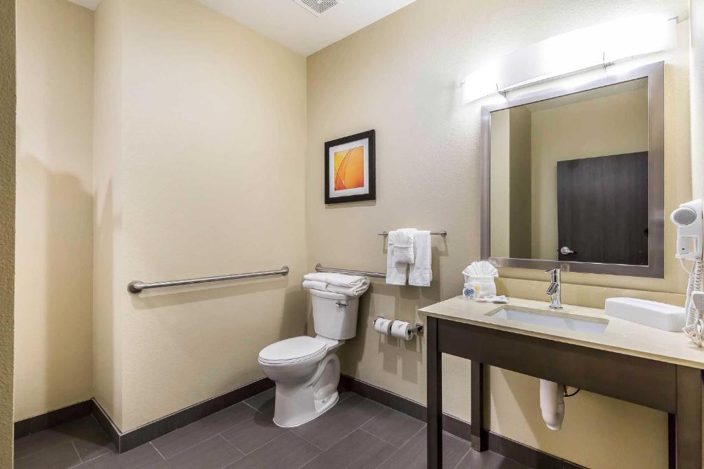 Comfort Suites Northwest Houston At Beltway 8 - image 2