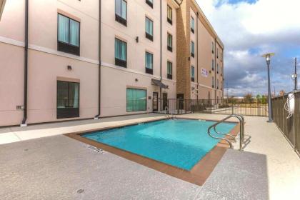 Comfort Suites Northwest Houston At Beltway 8 - image 5