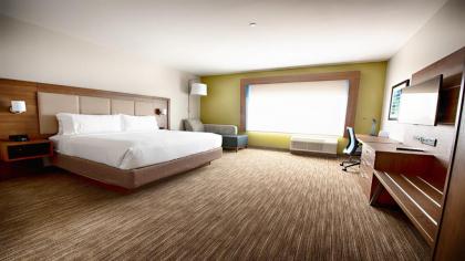 Holiday Inn Express & Suites Houston Southwest Galleria Area an IHG Hotel - image 7