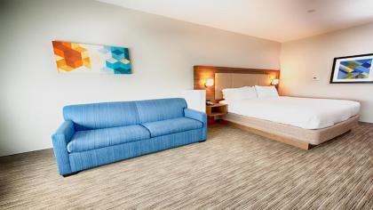 Holiday Inn Express & Suites Houston Southwest Galleria Area an IHG Hotel - image 9