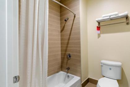 Econo Lodge Inn & Suites Houston Willowbrook - image 18