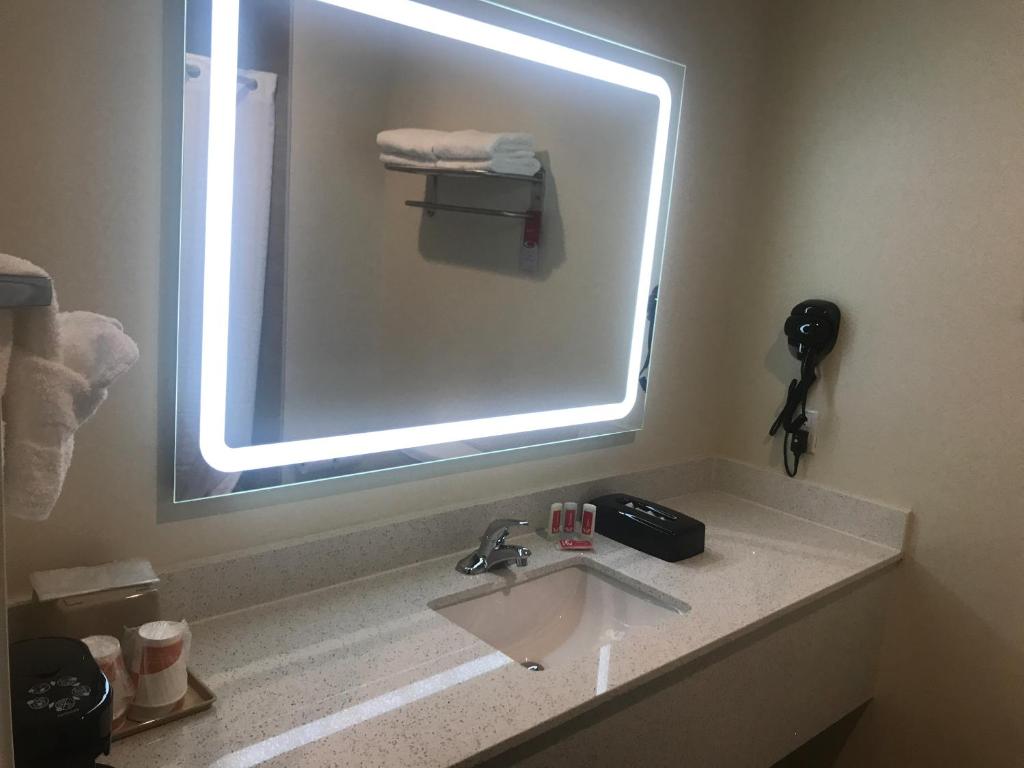 Econo Lodge Inn & Suites Houston Willowbrook - image 3