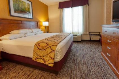 Drury Inn & Suites Indianapolis Northeast - image 15