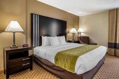 Comfort Inn Indianapolis East - image 13