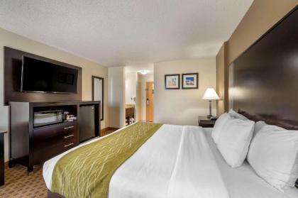 Comfort Inn Indianapolis East - image 15