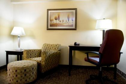 Holiday Inn Express Hotel & Suites Dallas Fort Worth Airport South an IHG Hotel - image 14