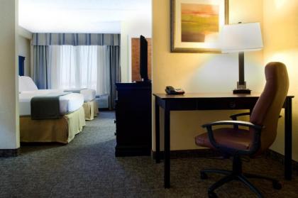 Holiday Inn Express Hotel & Suites Dallas Fort Worth Airport South an IHG Hotel - image 15