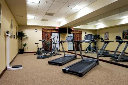 Holiday Inn Express Hotel & Suites Dallas Fort Worth Airport South an IHG Hotel - image 7