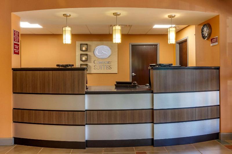 Comfort Suites Knoxville West - Farragut - image 5