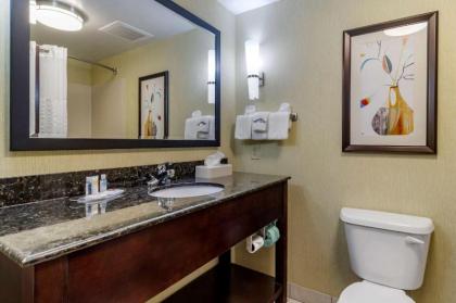 Comfort Suites Knoxville West - Farragut - image 14