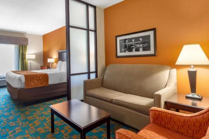 Comfort Suites Knoxville West - Farragut - image 15