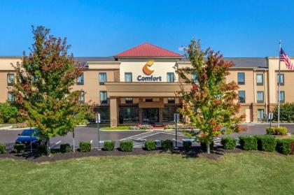 Comfort Suites Knoxville West - Farragut - image 8