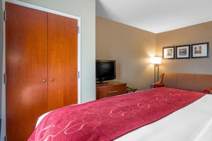 Comfort Suites North Knoxville - image 10