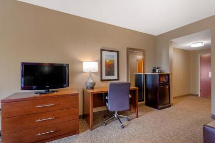 Comfort Suites North Knoxville - image 2