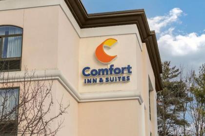 Comfort Inn  Suites Lake George Lake George