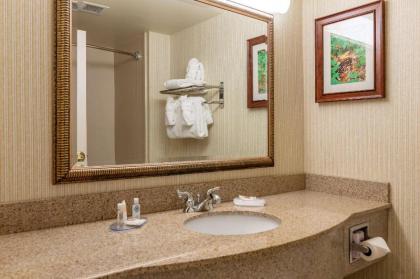 Comfort Inn & Suites Lake George - image 15