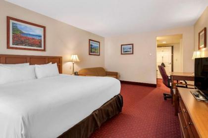 Comfort Inn & Suites Lake George - image 9