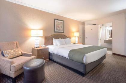 Quality Inn & Suites Lake Havasu City - image 15