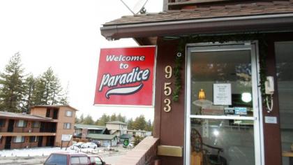 Paradice Motel - image 7