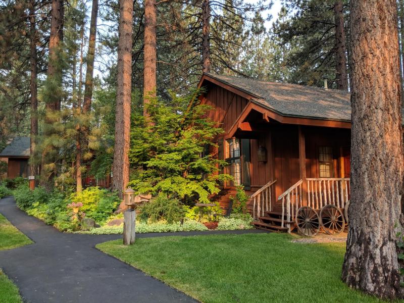 Black Bear Lodge - image 2