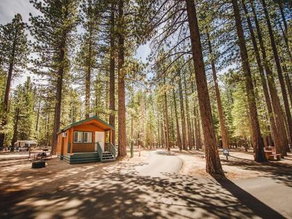 Tahoe Valley Cabin 2 - image 3