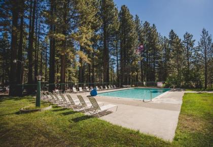 Tahoe Valley Cabin 2 - image 8