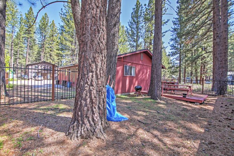 Quaint Pet-Friendly Cabin in South Lake Tahoe! - image 3