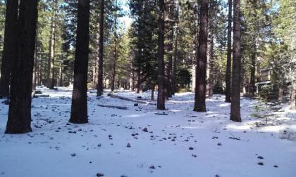 Smokeys Den South Lake Tahoe Cabin with Hot Tub! - image 9