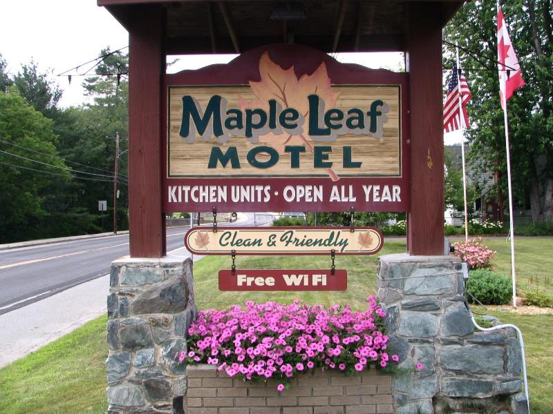 Maple Leaf Motel - image 4