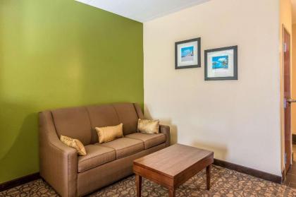 Comfort Inn & Suites Panama City Mall - image 10