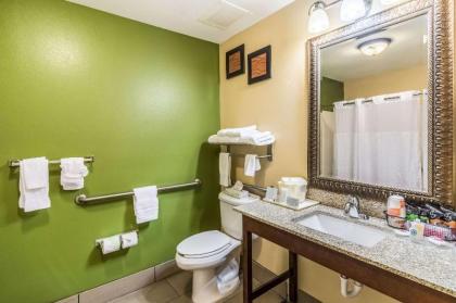 Comfort Inn & Suites Panama City Mall - image 9