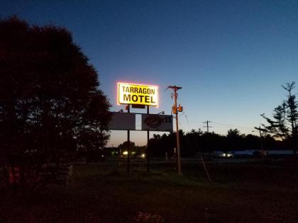 Tarragon Motel - image 10