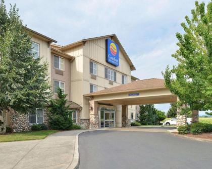 Comfort Inn & Suites - image 7