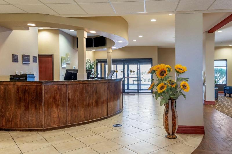 Comfort Suites Airport South - image 6