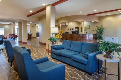 Comfort Suites Airport South - image 13