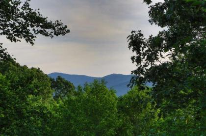 majestic mountain morganton Georgia