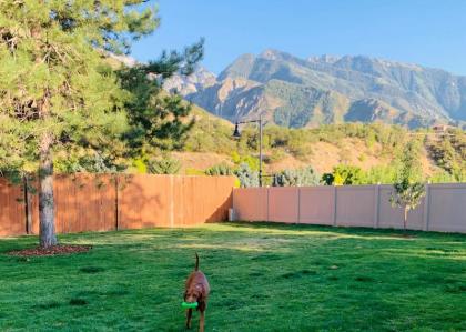 Treehouse at Little Cottonwood in Salt Lake with Indoor Hot Tub