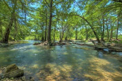 Life is Gruene on the Guadalupe River; Near Historic Gruene! - image 9