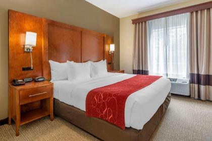 Comfort Suites Newark - Harrison - image 15