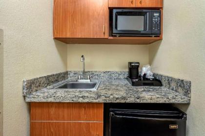 Comfort Suites Newark - Harrison - image 11