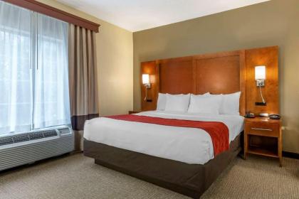 Comfort Suites Newark - Harrison - image 12