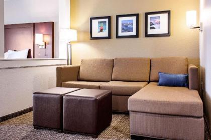 Comfort Inn & Suites Niagara Falls Blvd USA - image 9