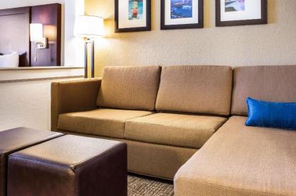 Comfort Inn & Suites Niagara Falls Blvd USA - image 10