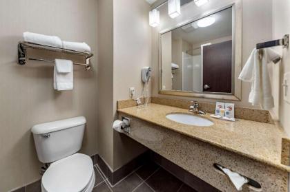 Comfort Inn & Suites Airport Oklahoma City - image 15