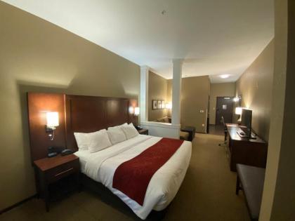 Comfort Suites West Omaha - image 12