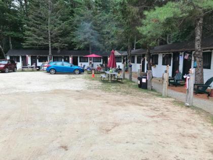 Pine Shore Motel and Cabins - image 8