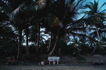 Peje Blanco Beachfront Farmstay - image 11