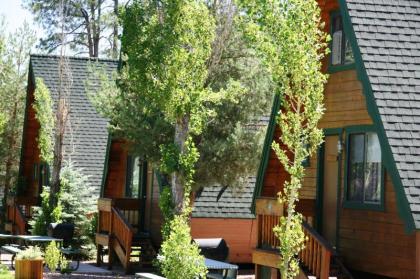 Cabins on Strawberry Hill - image 4