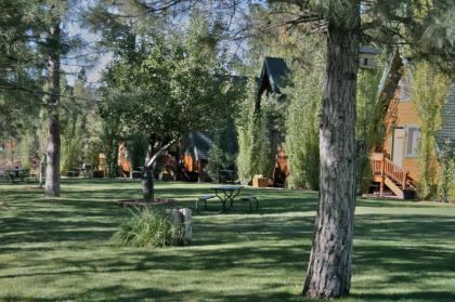 Cabins on Strawberry Hill - image 5