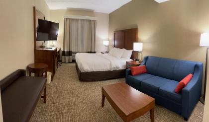 Comfort Inn Mifflin - Pittsburgh - image 6